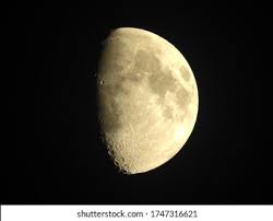 <p>First Quarter </p>