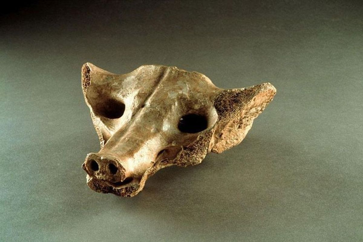 <p>Camelid Sacrum in the Shape of a Canine. Tequixquiac, Central Mexico. c. 14,000-7,000 BCE. Bone. </p>