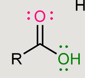 <p>Amide hydrolysis</p>
