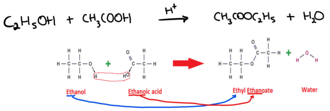 <p>C2H5OH + CH3COOH —H+→ CH3COOC2H5 + H2O</p>