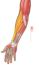 <p>What is this?</p>