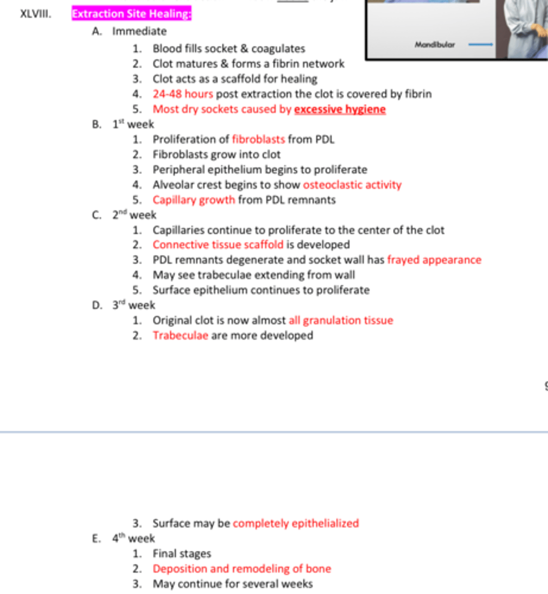 <p>Extraction site healing time:</p><p>1. Blood fills socket &amp; coagulates </p><p>2. Clot matures &amp; forms a fibrin network </p><p>3. Clot acts as a scaffold for healing </p><p>4. 24-48 hours post extraction the clot is covered by fibrin </p><p>5. Most dry sockets caused by excessive hygiene</p>