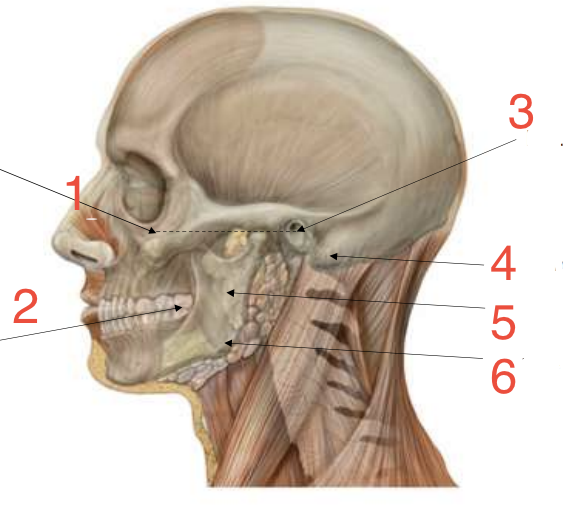 <p>4? </p>