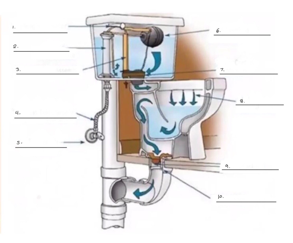 <p><sub>Identify the parts of water closet II.</sub></p><p></p>