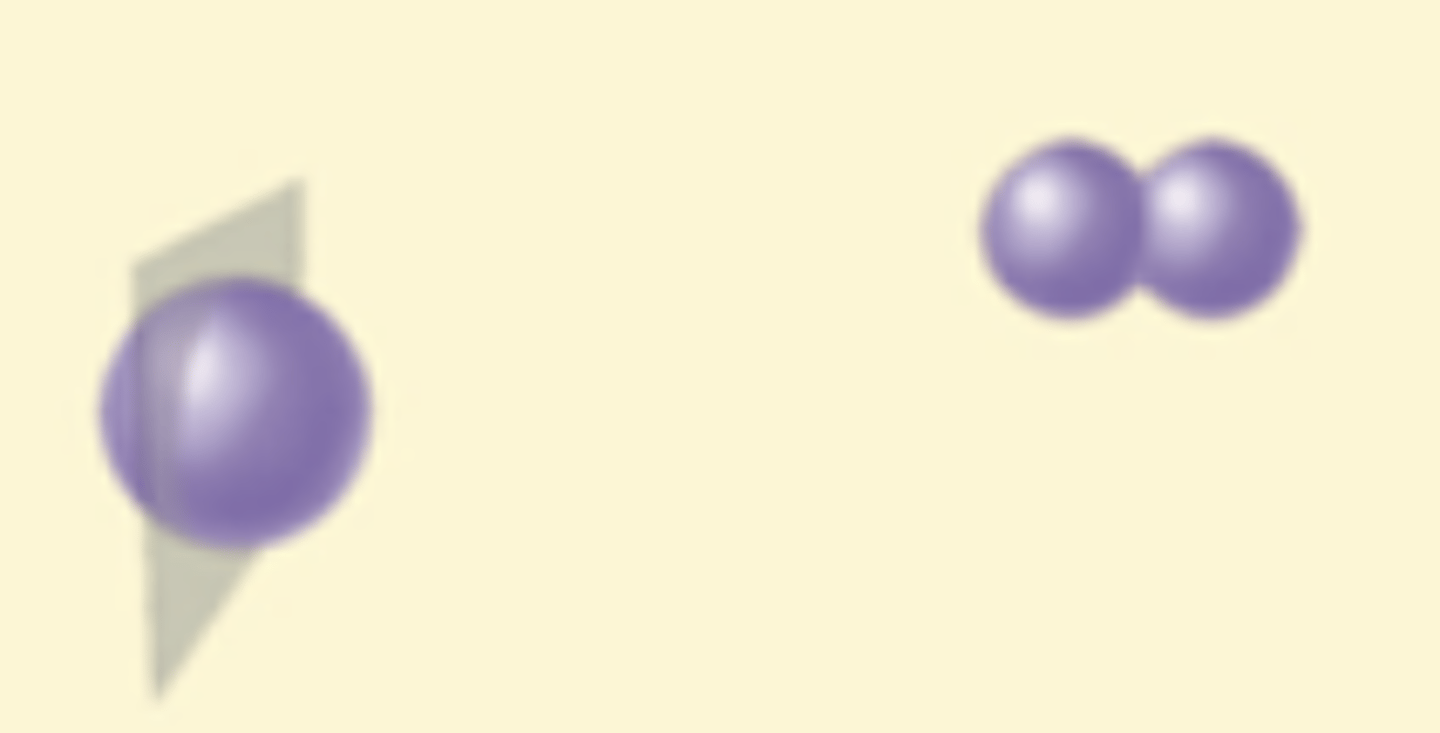 <p>What is the arrangement of the bacteria shown?</p>