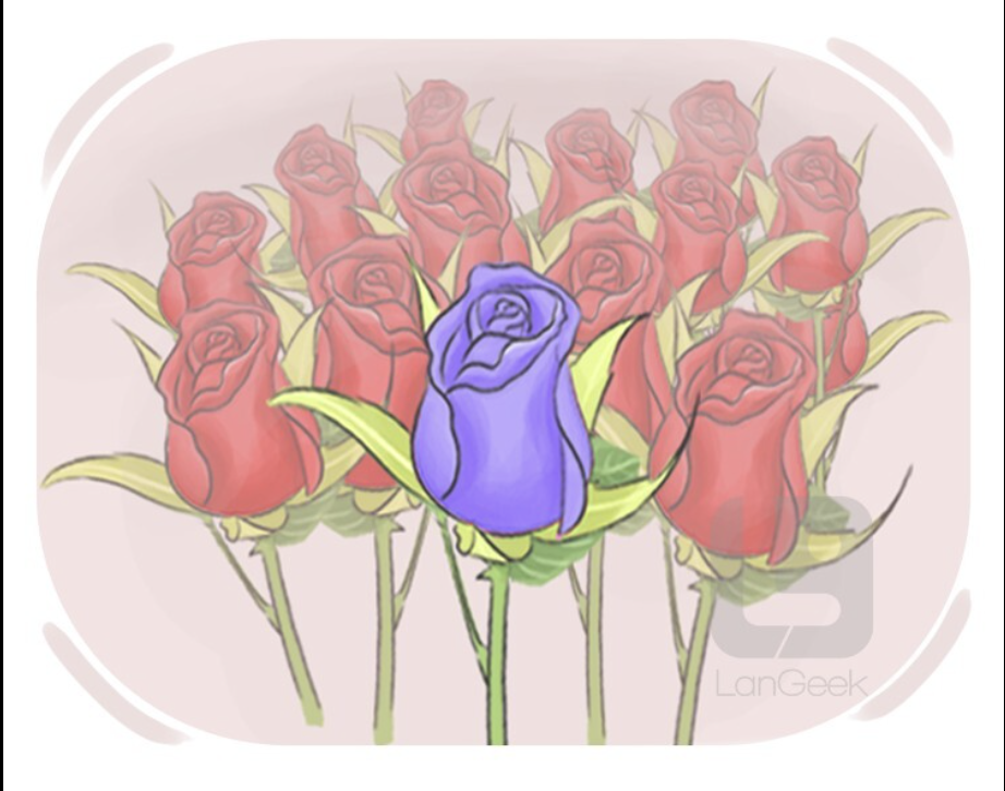 <ol><li><p></p></li></ol><p><span style="color: yellow;">(Riêng biệt, khác biệt rõ ràng)</span></p><ol start="2"><li><p></p></li></ol><p>(Dễ nhận thấy, rõ rệt).</p><p></p><p><strong>Dạng liên quan:</strong></p><ul><li><p><strong>Distinction</strong> (Danh từ - sự khác biệt)</p></li><li><p><strong>Distinctly</strong> (Trạng từ - một cách rõ ràng)</p></li><li><p><strong>Distinctive</strong> (Tính từ - mang tính khác biệt).</p></li></ul><p></p>