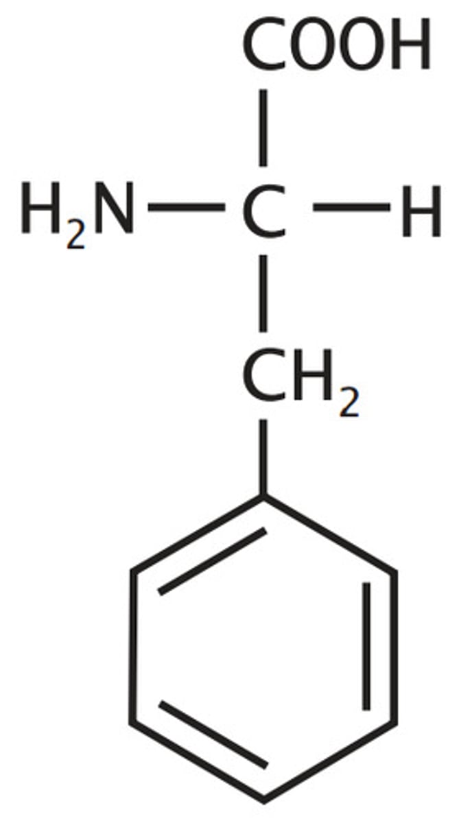 <p>Aromatic</p><p>Alanine with phenyl group</p><p>y reminds of aromatics</p>