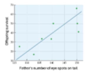 <p><span style="color: #000000">Given the data in the graph here, what is the most</span><span style="color: #000000"><br></span><span style="color: #000000">likely model of evolution for the preference for eyespots</span><span style="color: #000000"><br></span><span style="color: #000000">in this species?</span><span style="color: #000000"><br></span><span style="color: #000000">A. Males provide direct benefits to females that allow</span><span style="color: #000000"><br></span><span style="color: #000000">female to produce more offspring.</span><span style="color: #000000"><br></span><span style="color: #000000">B. Females benefit from receiving good genes from</span><span style="color: #000000"><br></span><span style="color: #000000">males with more eye spots</span><span style="color: #000000"><br></span><span style="color: #000000">C. Fisherian, because female offspring have stronger</span><span style="color: #000000"><br></span><span style="color: #000000">preferences for eye spots</span><span style="color: #000000"><br></span><span style="color: #000000">D. All of the above</span><span style="color: #000000"><br></span><span style="color: #000000">E. None of the above</span></p>
