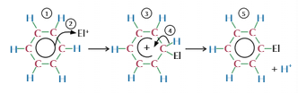 <ol><li><p>Electron dense region attracts electrophile</p></li><li><p>Electrophile take pair of electrons from centre and form bond</p></li><li><p>Partially breaking delocalised ring = positive charge</p></li><li><p>Lose hydrogen to regain stability</p></li></ol><p></p>