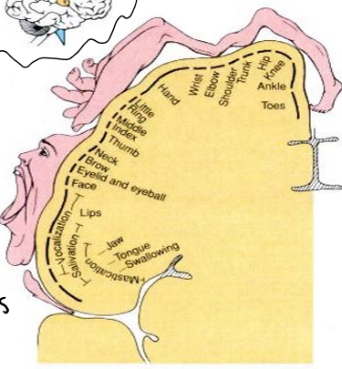 term image