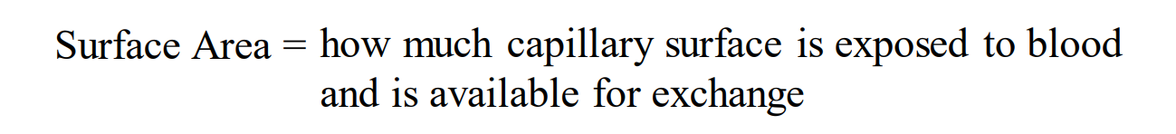 <p>how much capillary surface area is exposed to blood and available for exchange</p>