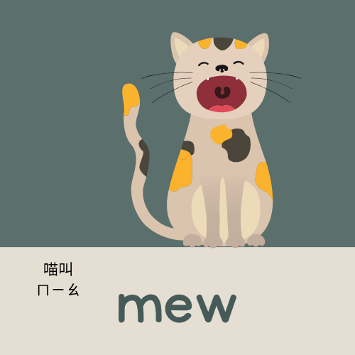 <p>mew</p>