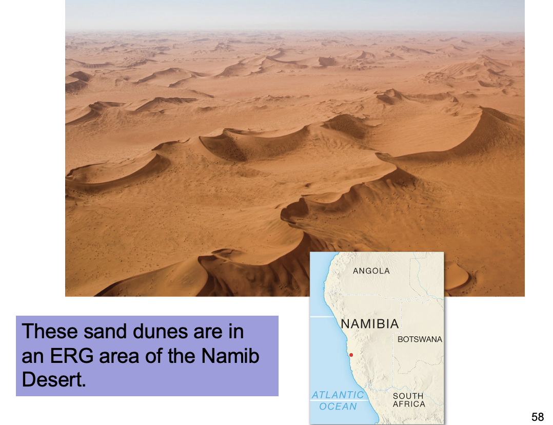 <p>a huge sand sea is called an..?</p>