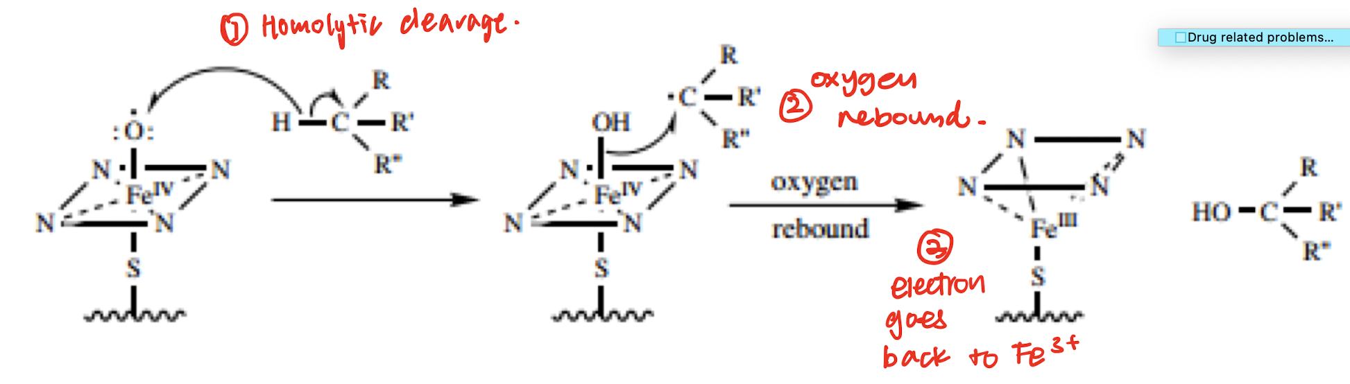 Carbon radical is formed

carbon radical stability affects how likely it is formed 