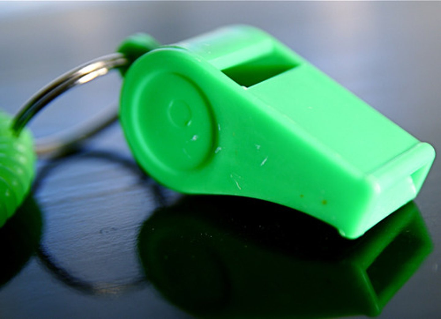<p>the whistle</p>