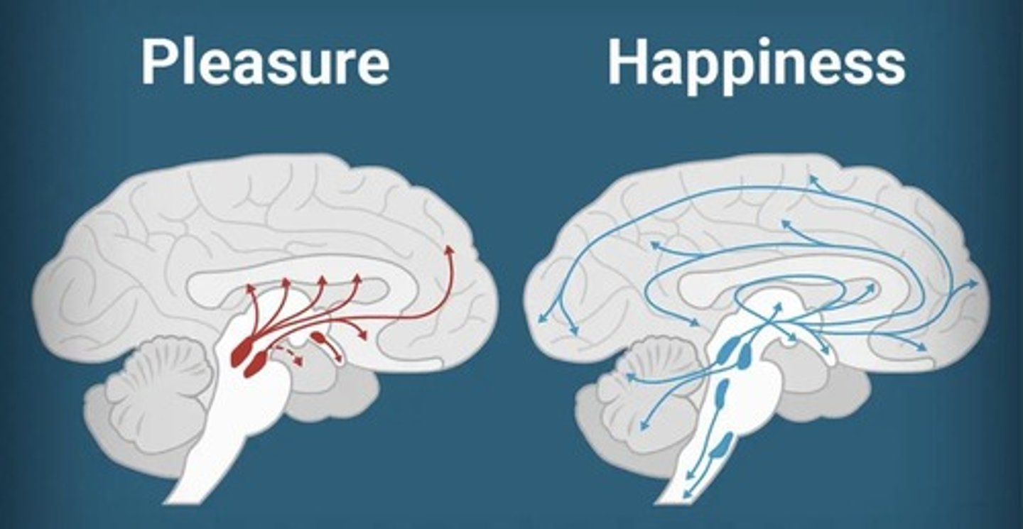 <p>Meaning and self-realization</p>