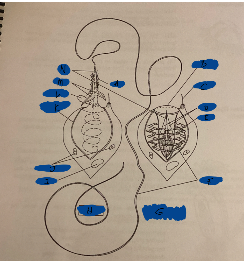 <p>What is L?</p>