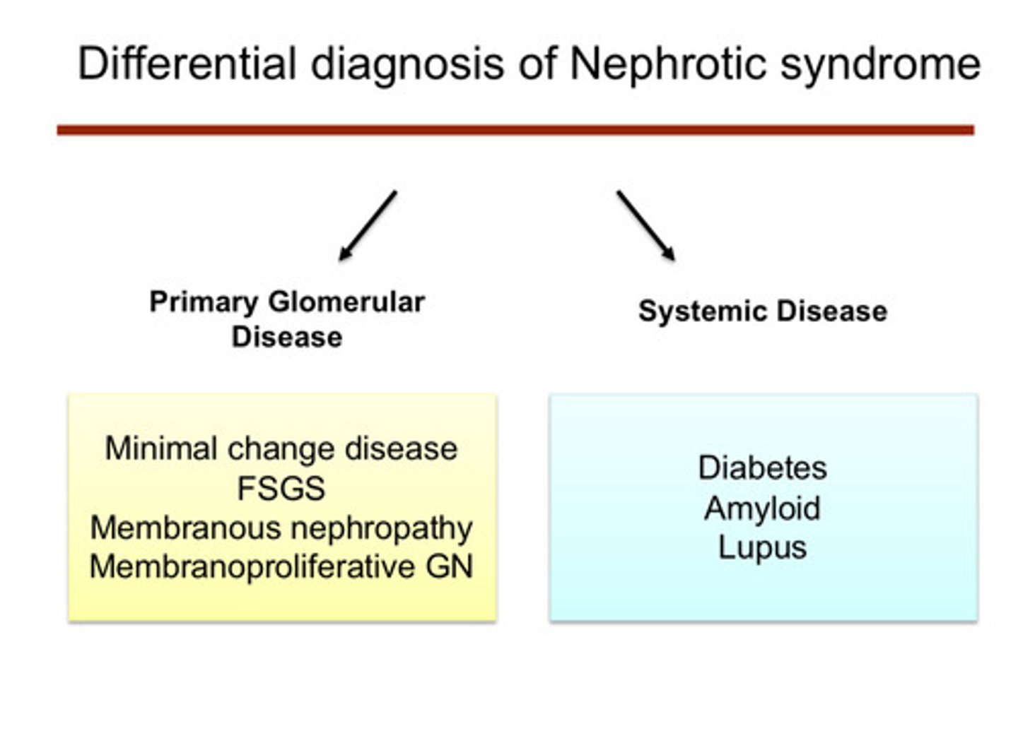 <p>1) diabetes</p><p>2) amyloid</p><p>3) lupus</p>