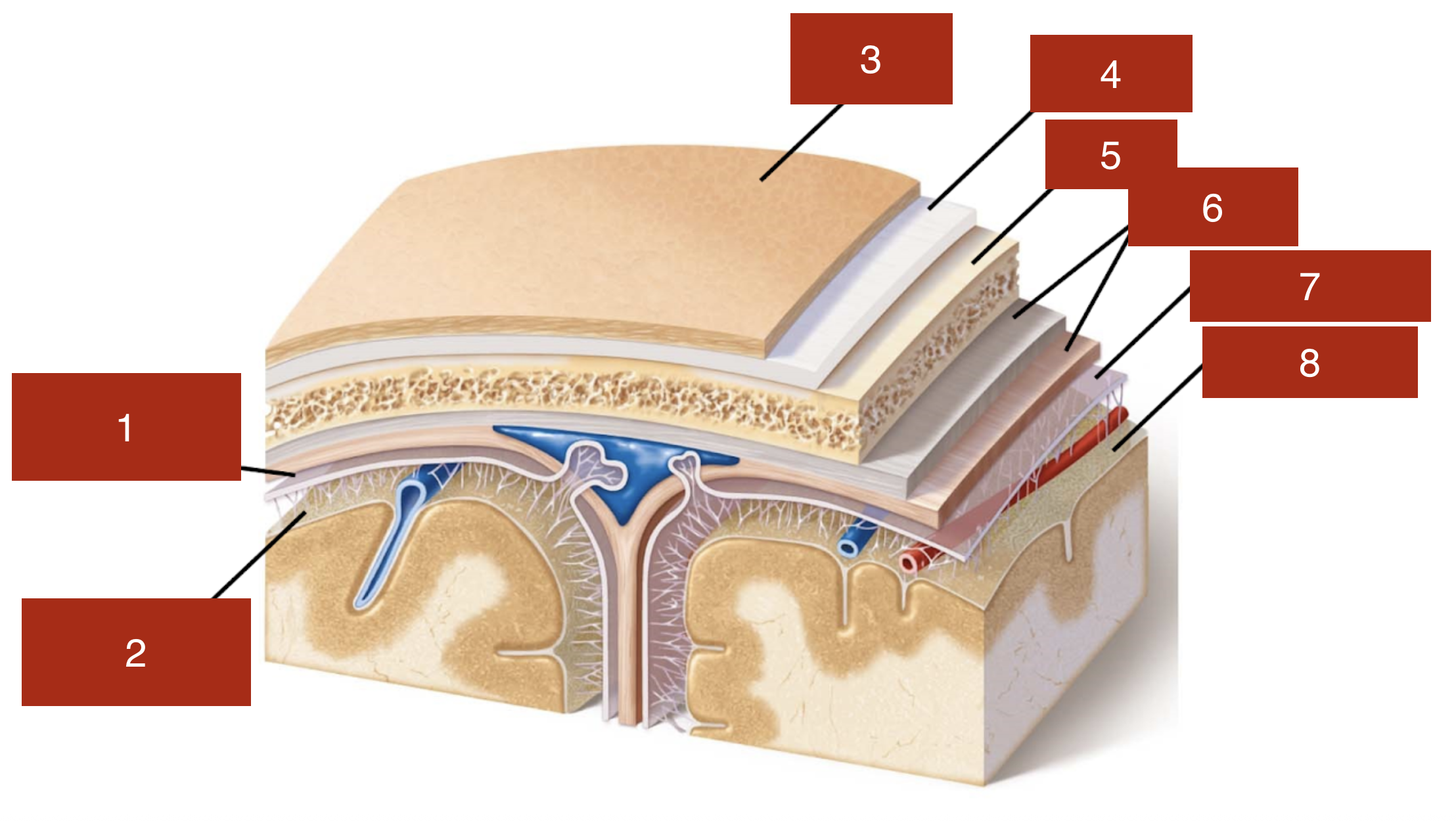 <p>1</p>