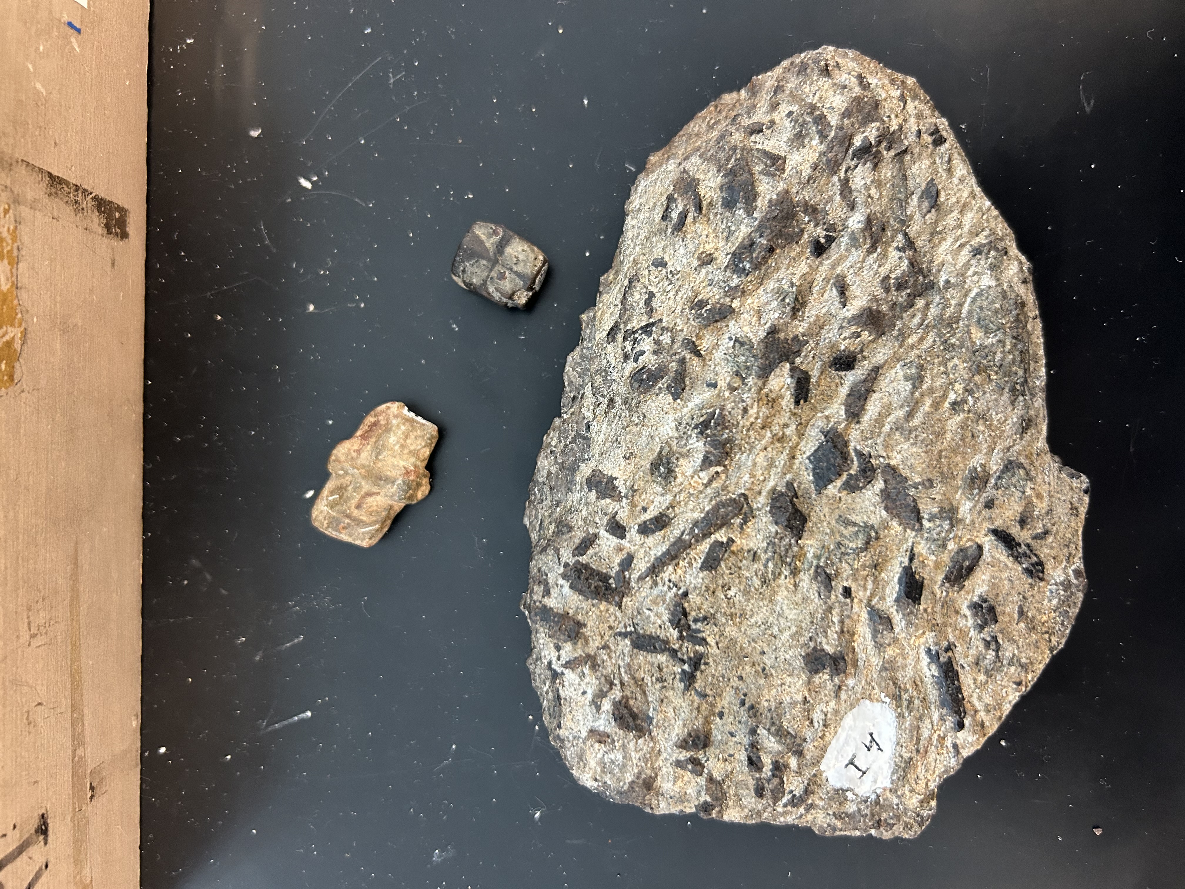 <ul><li><p>usually in crystals, not normally massive</p></li><li><p>﻿﻿pseudo-orthorhombic crystals with cruciform twins usually intersecting at ~90° or 60°</p></li><li><p>﻿﻿hardness: 7-7.5; specific gravity: ~3.7</p></li><li><p>﻿﻿luster: resinous to vitreous when fresh, dull when altered or impure</p></li><li><p>﻿﻿distinguished from andalusite by its obtuse prism and red-brown to brown color</p></li><li><p>﻿﻿associated with pyralspite garnet, muscovite, and biotite</p></li><li><p>﻿﻿formed from medium-grade metamorphism of<br>Al-rich rocks</p></li></ul>