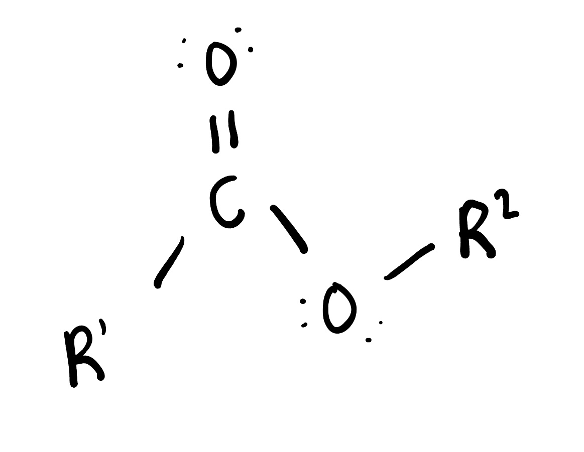 <p>is an organic compound formed from the reaction of a carboxylic acid and an alcohol, characterized by the functional group -COO-. Esters are often used in fragrances and flavorings due to their pleasant aromas. </p>