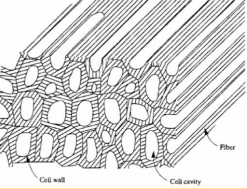 <p>Shrinkage</p>