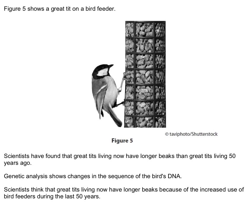 <p>Explain how natural selection could have caused an increase in beak length because of the use of bird feeders.</p>