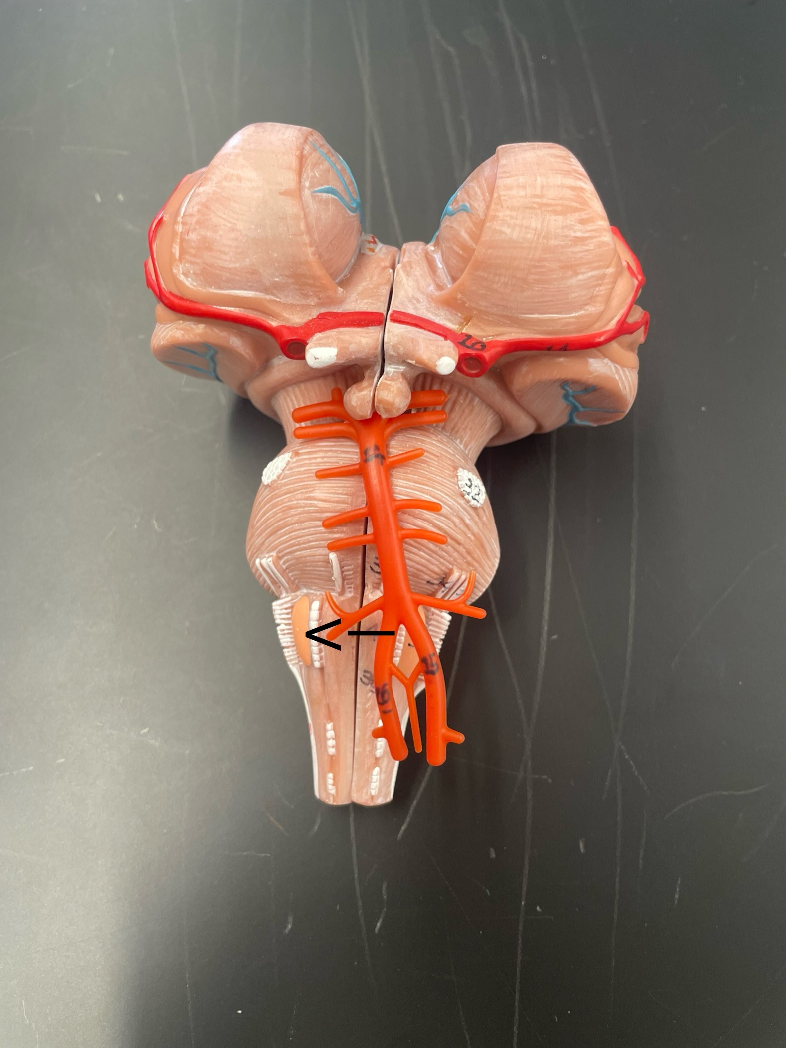 <p>ID structure </p>
