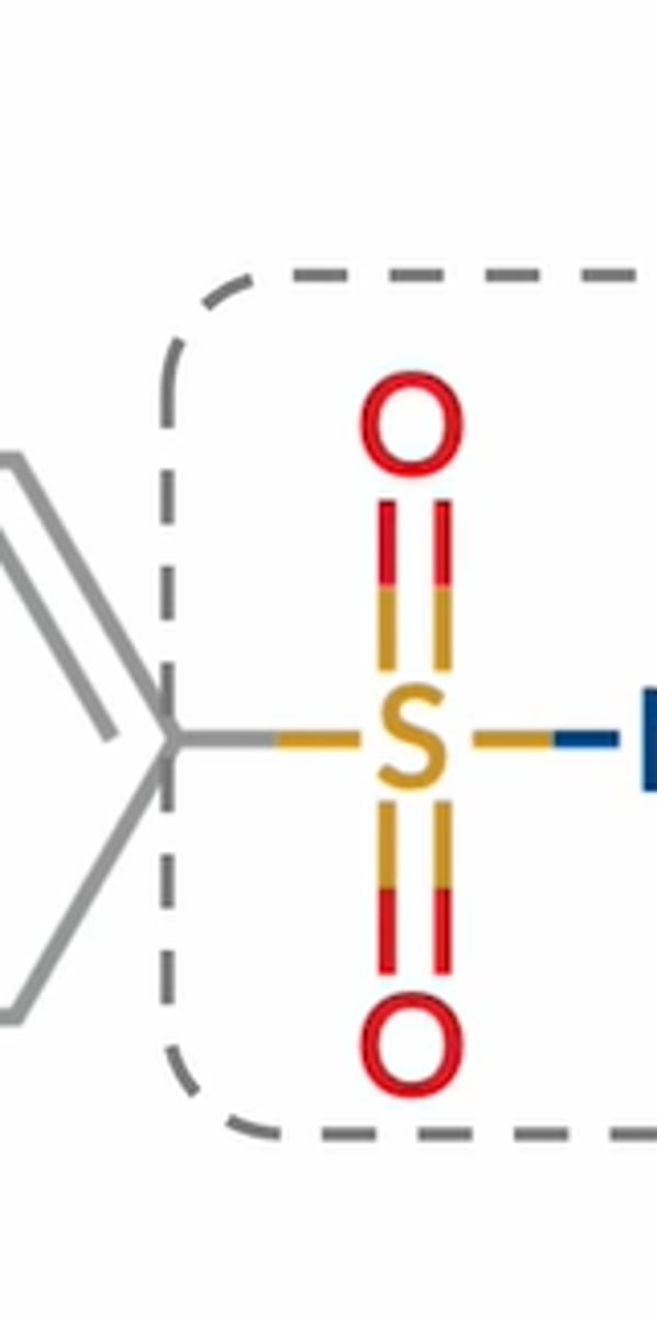 <p>Celecoxib</p><p>Sulfamethoxazole</p><p>Loop diuretics (bumetanide &amp; furosemide)</p><p>Triptans</p><p>Thiazide diuretics</p><p>Acetazolamide</p><p>Sulfonylureas (chlorpropamide, acetohexamide)</p>