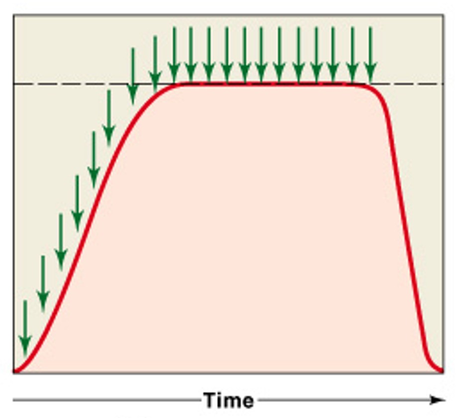<p>Which type of tetanus is:</p><ul><li><p>If stimulation frequency is high enough, muscle <u>never </u><em><u>begins</u></em><u> to relax</u>, and is in continuous contraction</p></li></ul><p></p>