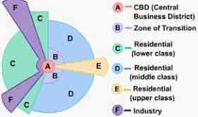 <p>An urban land use model proposed by Homer Hoyt in 1939 suggesting cities develop in sectors, rather than rings, and these sectors extend out from the CBD </p><ul><li><p>determined by transportation accessibility, land availability, and social/economic factors </p></li><li><p>Each sector has a distinct social structure </p></li><li><p>Outer regions characterized by residential land use </p></li></ul>