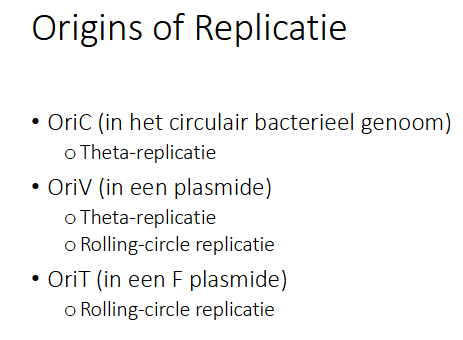 <ul><li><p>OriC (in circulair bacterieel genoom)</p><ul><li><p>Thèta-replicatie</p></li></ul></li><li><p>OriV (in een plasmide)</p><ul><li><p>Thèta-replicatie</p></li><li><p>Rolling-circle replicatie</p></li></ul></li><li><p>OriT (in F-plasmide)</p><ul><li><p>Rolling-circle replicatie</p></li></ul></li></ul><p></p>