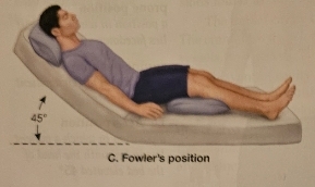 <p>Flowerlers Position</p>