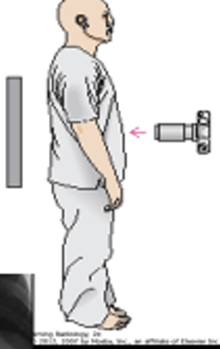 <p>What view is this?</p>