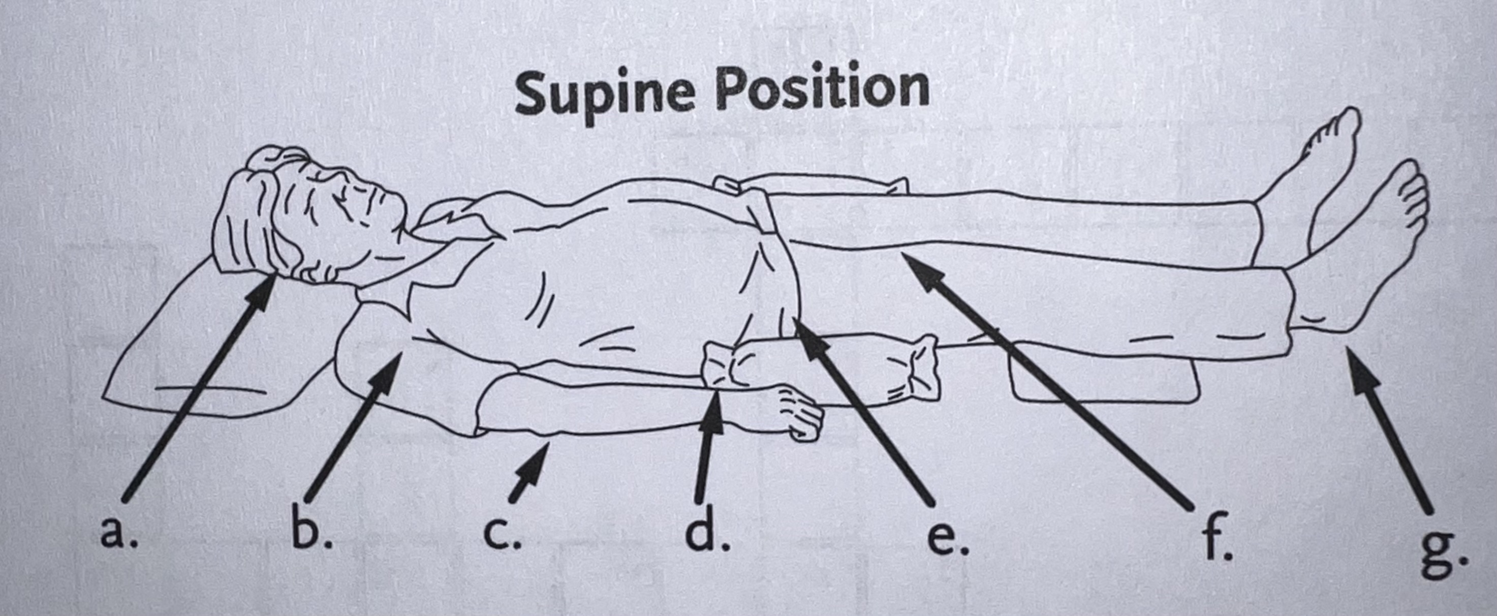 <p>F.</p>