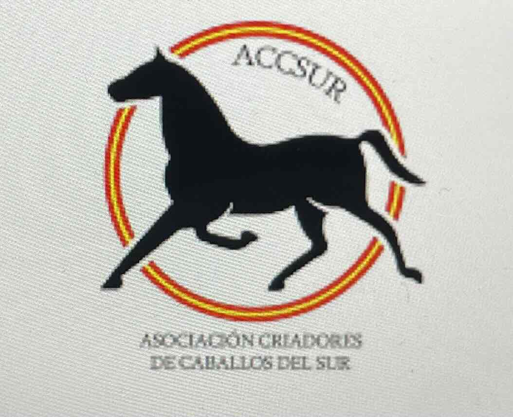 <p>La asociación criadores de caballos del sur ( ACCSUR )</p>