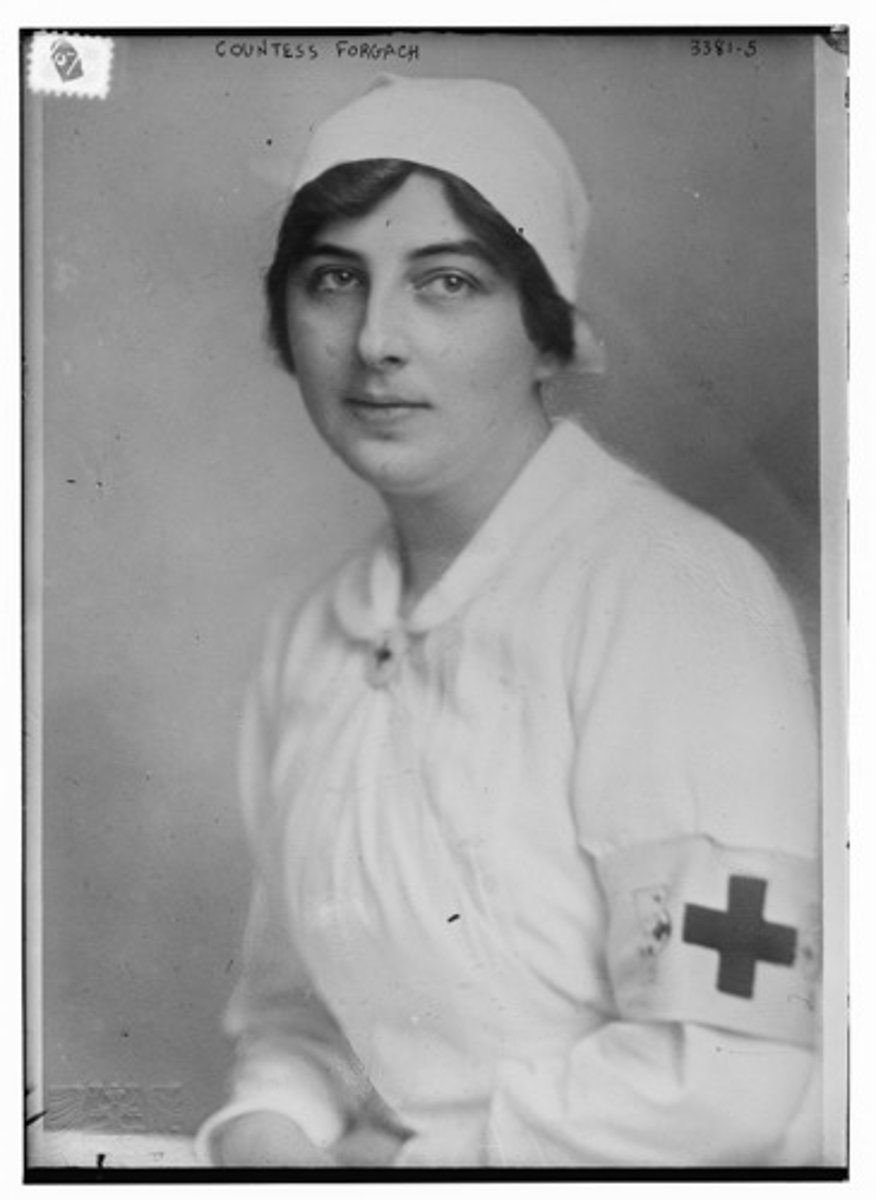 <p>Nurses, cooked meals for soldiers, work in factories, made clothes for soldiers, and made hospital supplies</p>