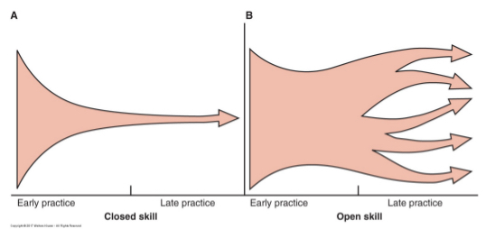 <p>understand task dynamics: goal, movement strategies, environmental features</p><p>fixation/diversification: refine movement; consistency, efficiency, adaptability</p>