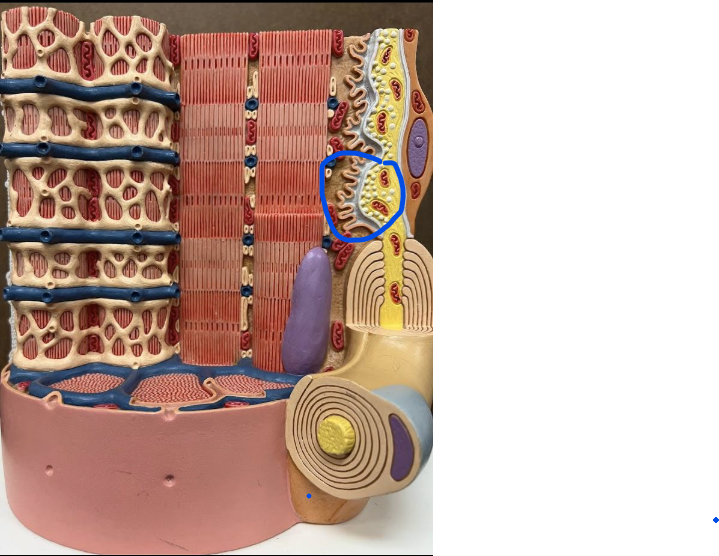 <p>What is this?</p>