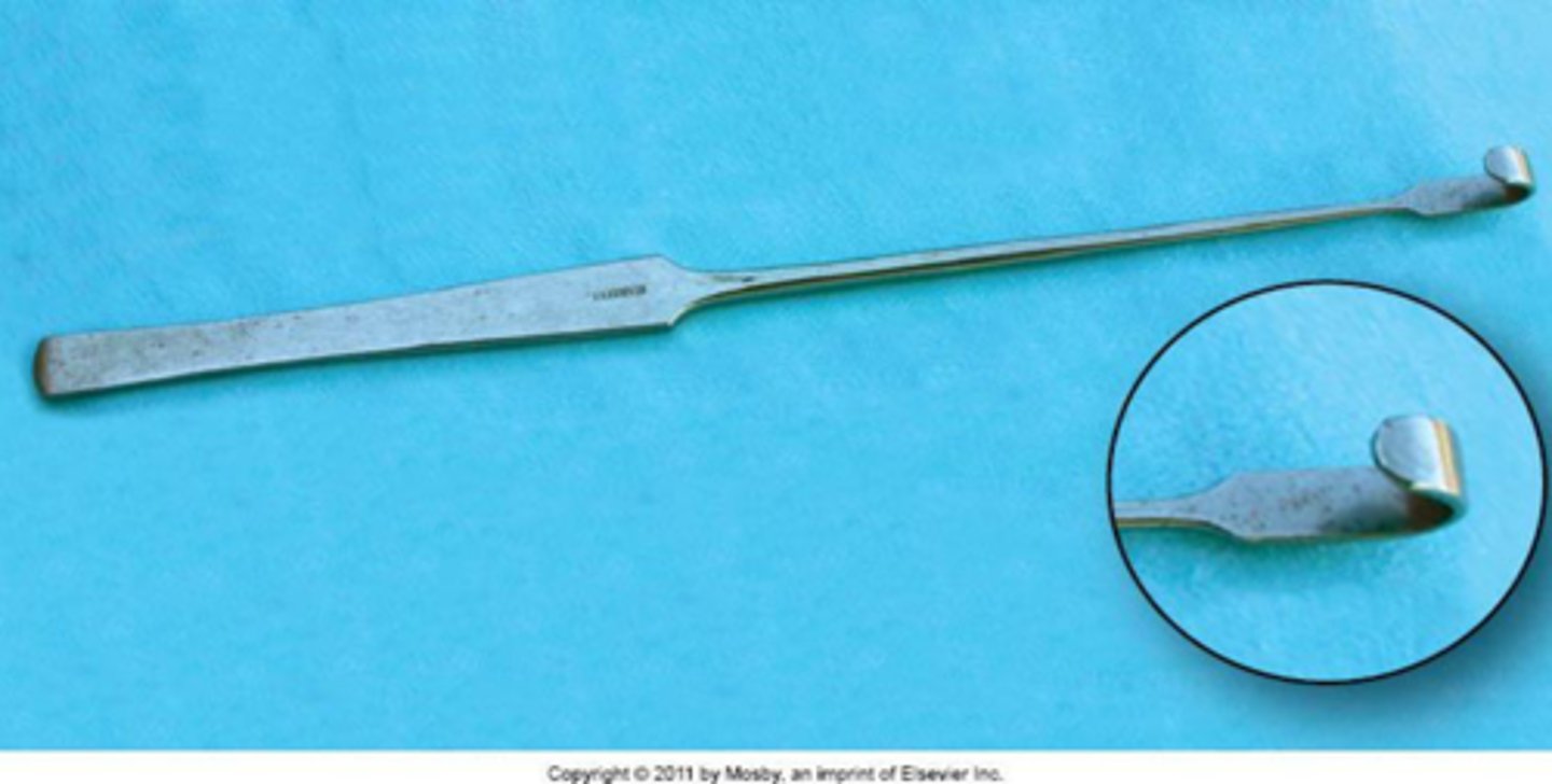 <p>a surgical instrument with a curved, button tip used to retrieve a horn of the uterus when performing ovariohysterectomy in dogs and cats.</p>