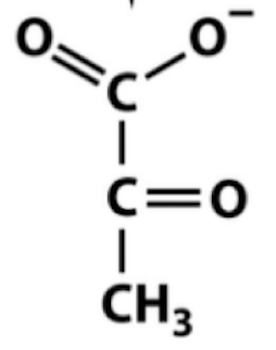 <p>Name that structure.</p>