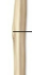 <ul><li><p>A processes for connective tissue attachment</p></li><li><p>Large rounded projection usually with rough surface</p></li></ul><p></p>