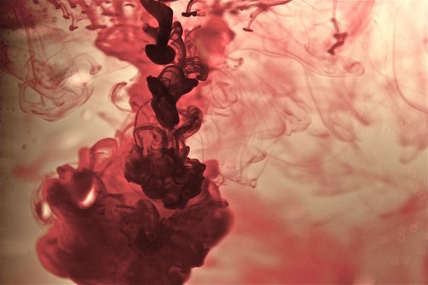 <p>To form a mixture, where the particles of one or more substances (the solute) are distributed uniformly throughout another substance (the solvent), so that the mixture is the same throughout.</p>