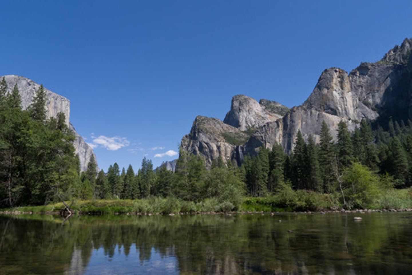 <p>California</p>