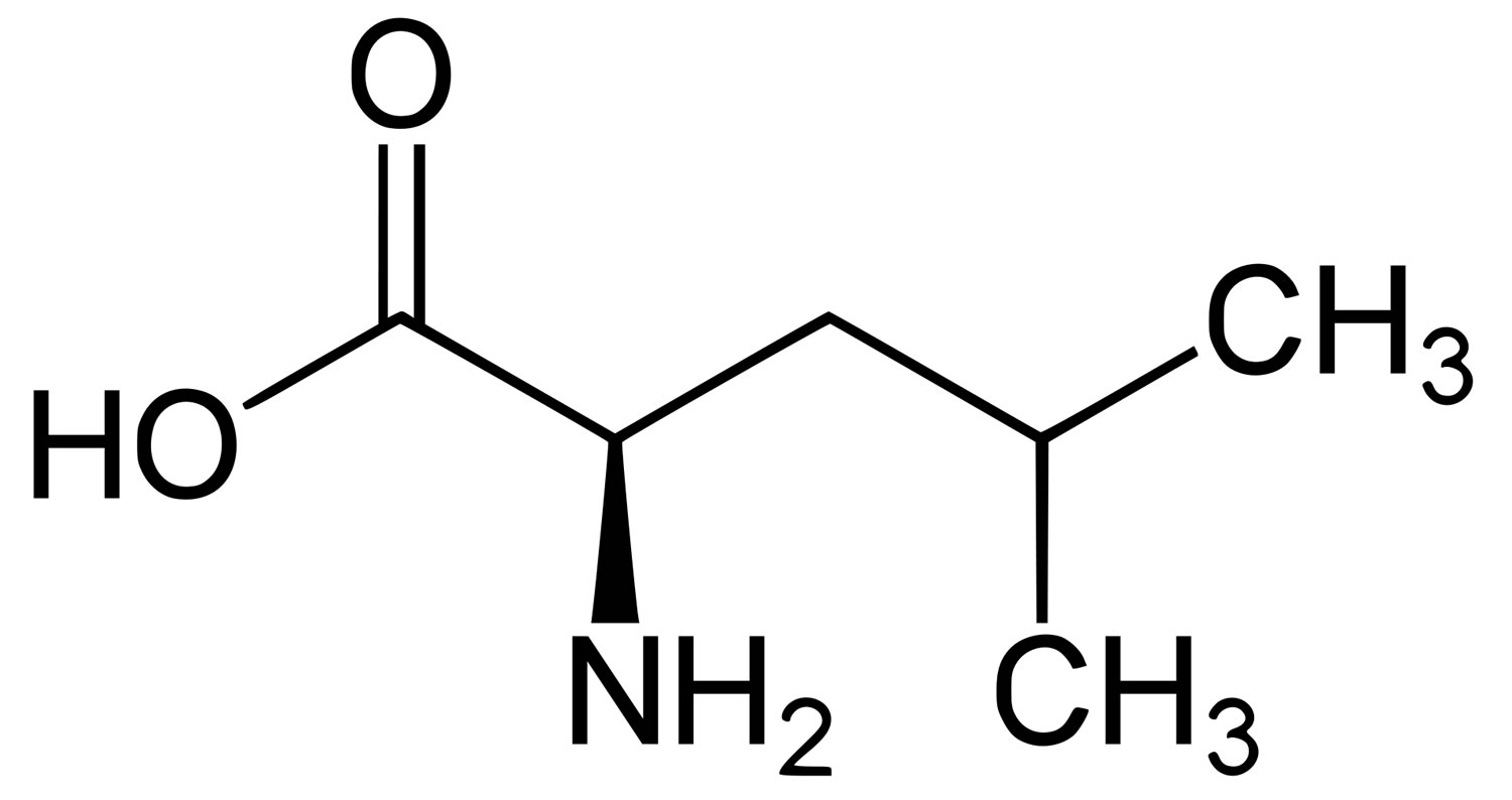 <p></p>