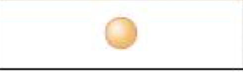 <p>single coccus</p>