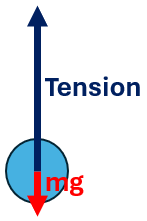 <p>Centripetal force F = T - mg</p><p>T = F + mg = mv²/r + mg</p>