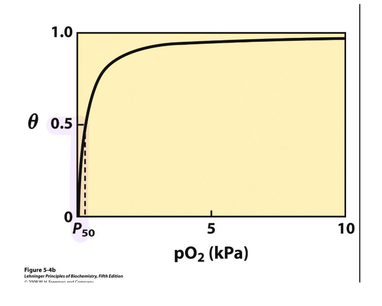 <p>For <strong><u><span style="color: green">myoglobin</span></u></strong>, what is being <u>plotted</u> on the graph?</p>