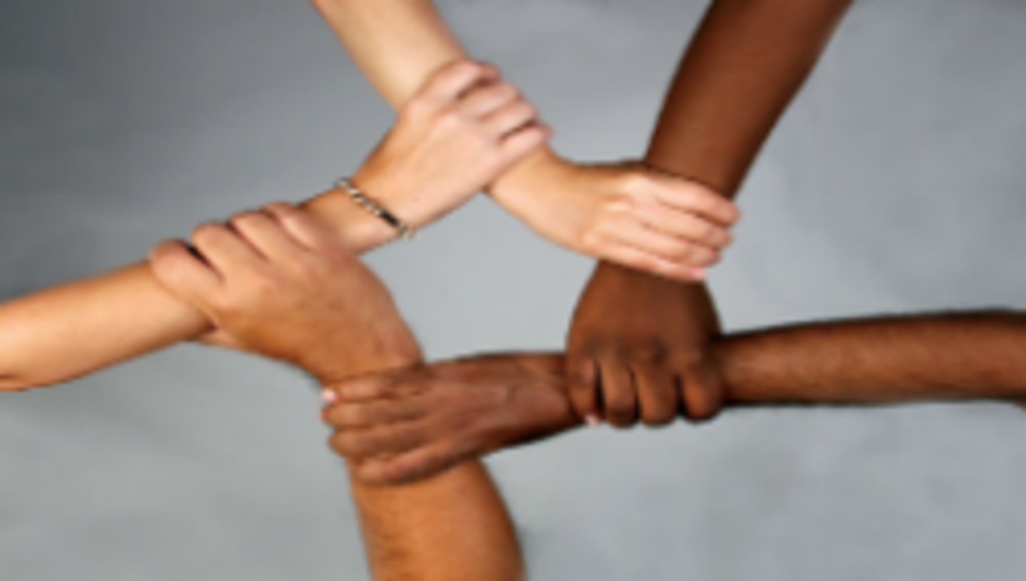 <p>race</p>
