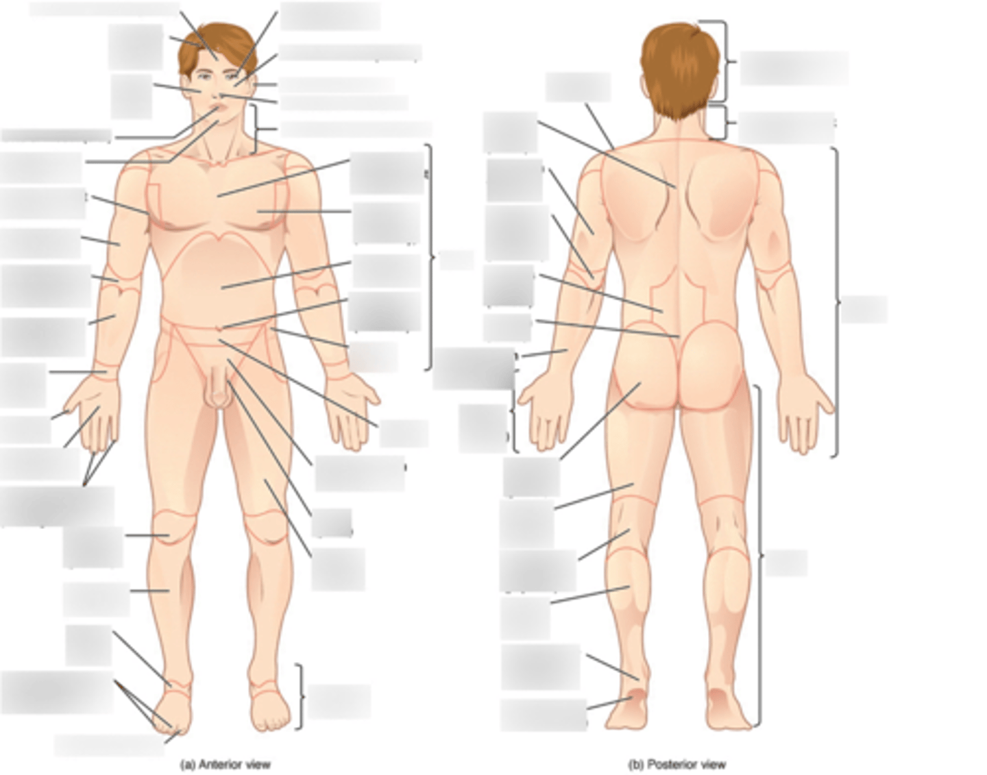 <p>mynd</p>